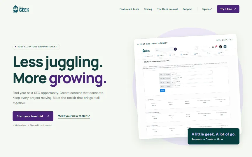 Screenshot of seoGEEK